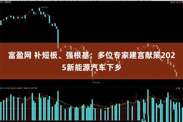富盈网 补短板、强根基：多位专家建言献策2025新能源汽车下乡