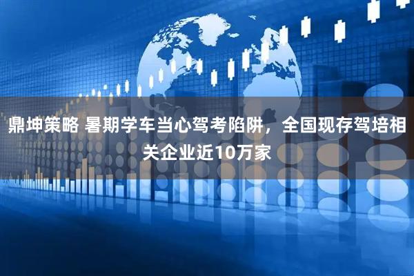 鼎坤策略 暑期学车当心驾考陷阱，全国现存驾培相关企业近10万家