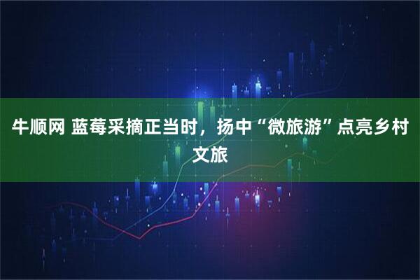 牛顺网 蓝莓采摘正当时，扬中“微旅游”点亮乡村文旅